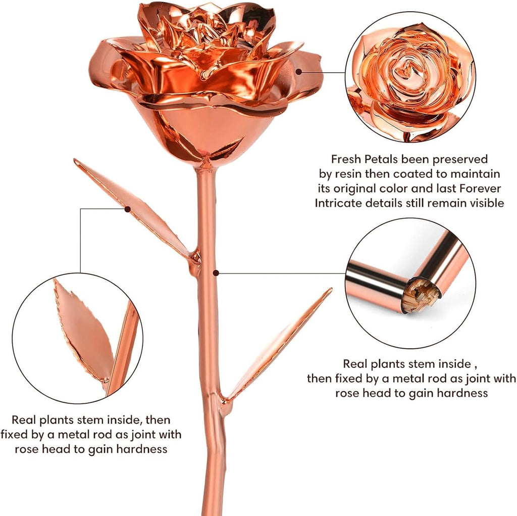 Gold Dipped Infinity Rose Last Forever Flower Decor, Birthday Gift for Women in Her Birthday Valentines Day Mothers Day, Resin Preserved Rose | Anniversary Present for Mom (Rose Gold)