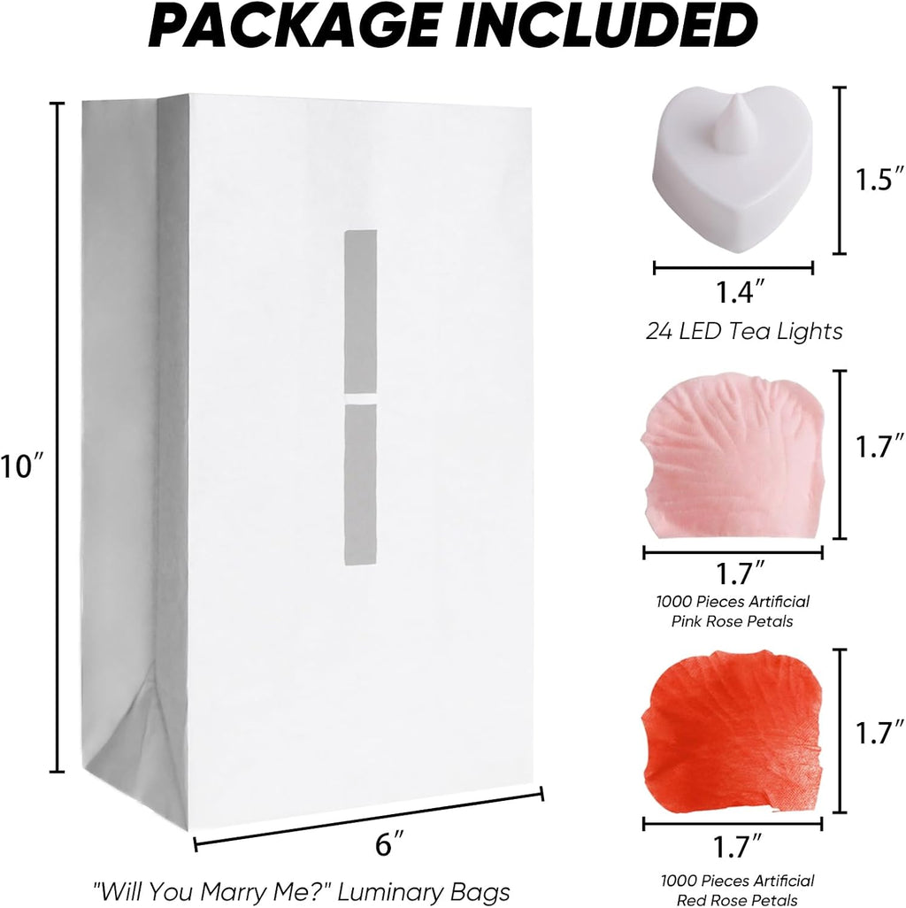 Will You Marry Me Light up Letters Luminary Bag with 24 Tea Lights