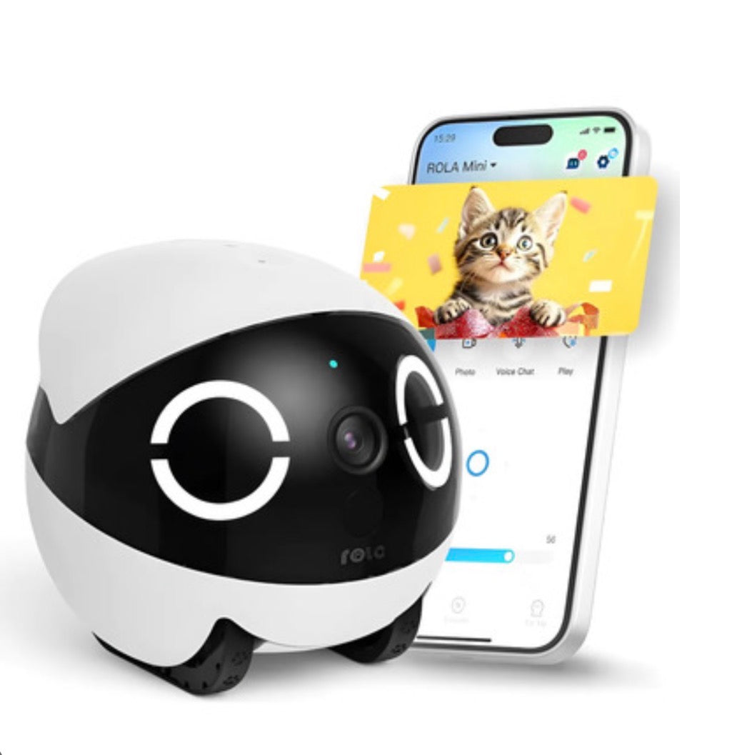 Mobile Robot Camera: 2.5K Familybot with Two-Way Video