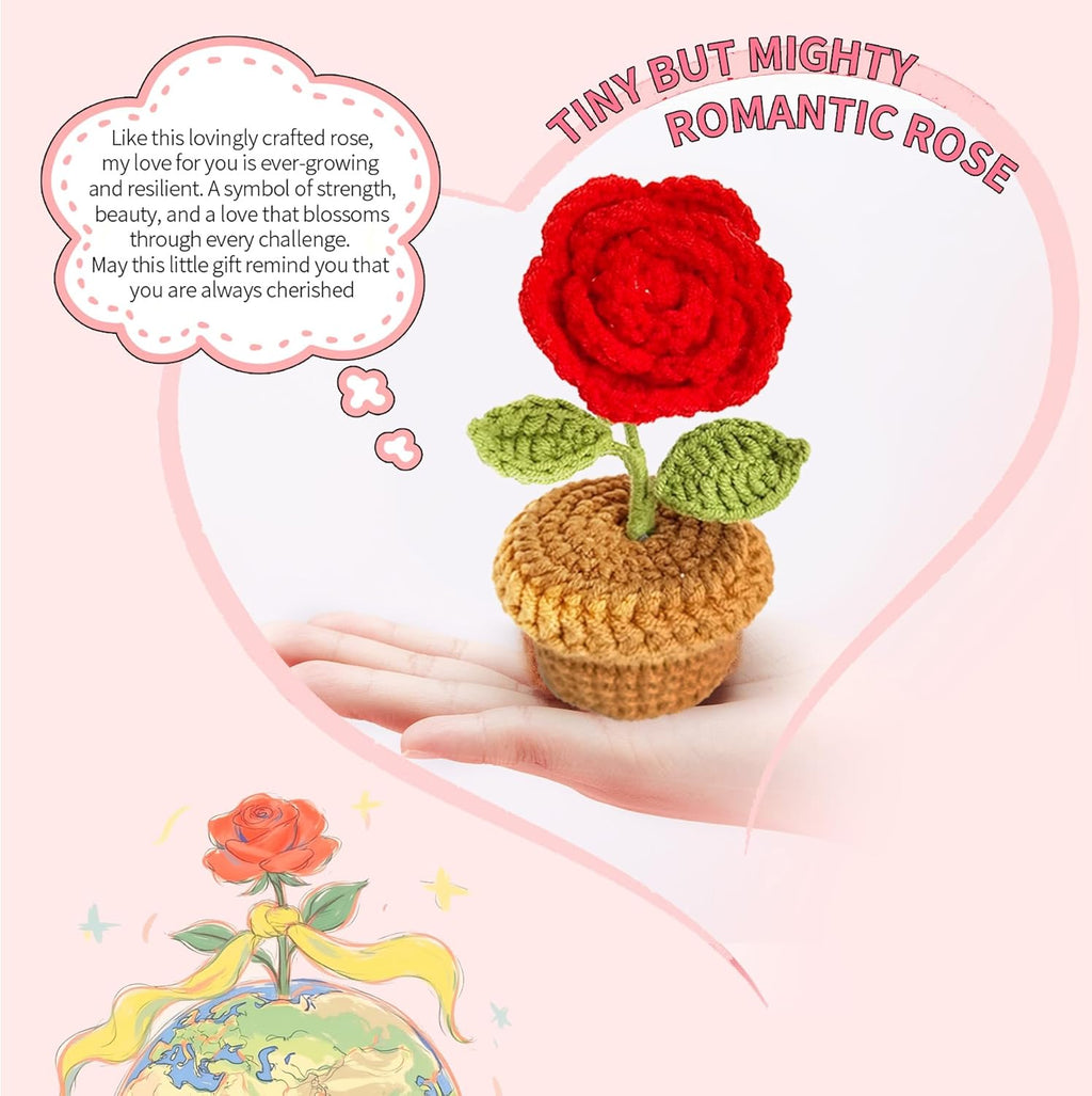 Romantic Gifts for Girlfriend, Wife, Valentines Day Gift for Her